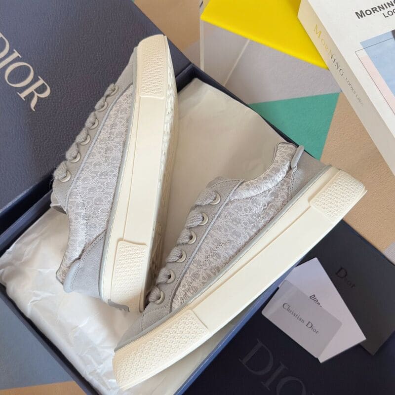 Dior B33 Gray White