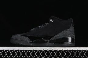 Air Jordan 3 Black Cat