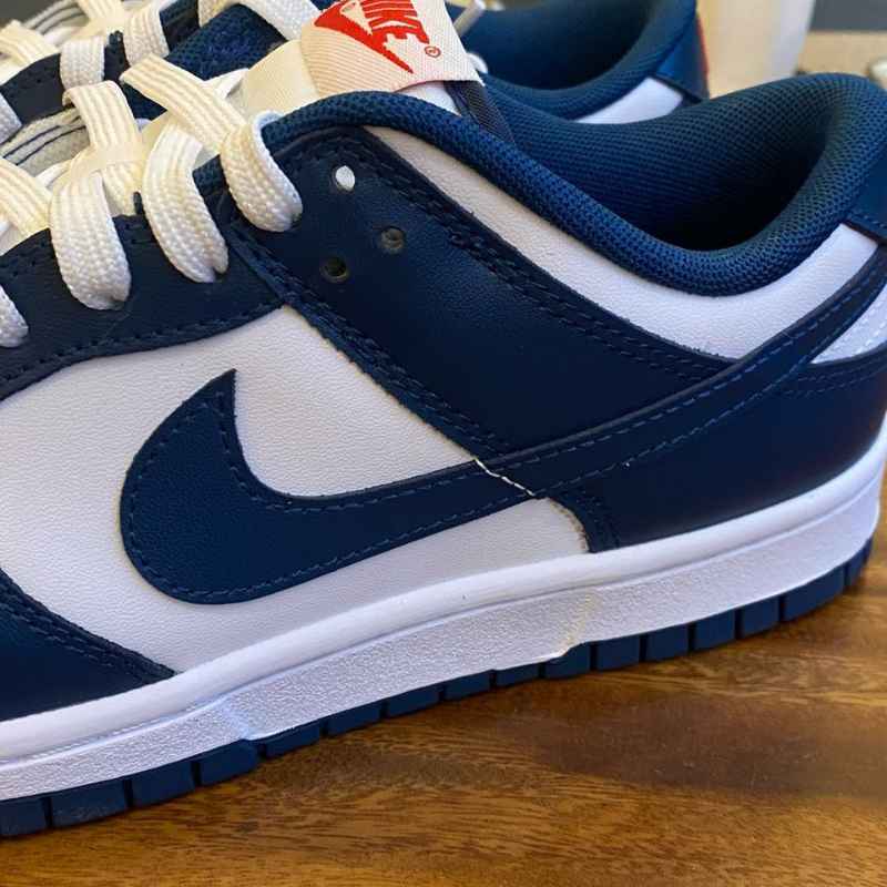 Nike Dunk Low Valerian Blue