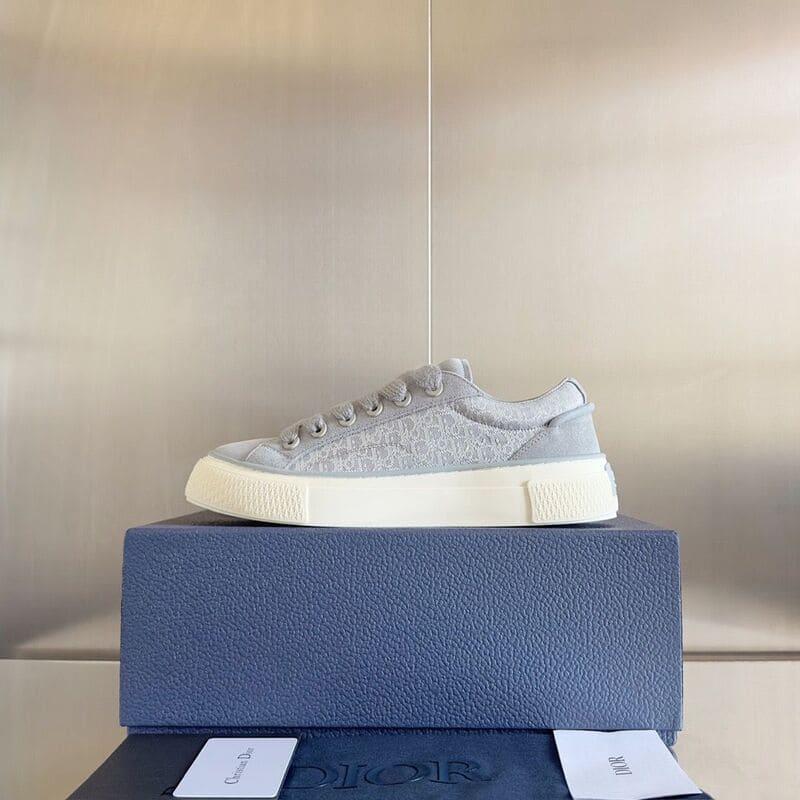 Dior B33 Gray White