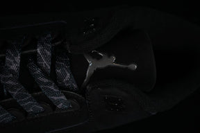 Air Jordan 3 Black Cat