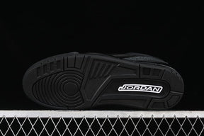 Air Jordan 3 Black Cat