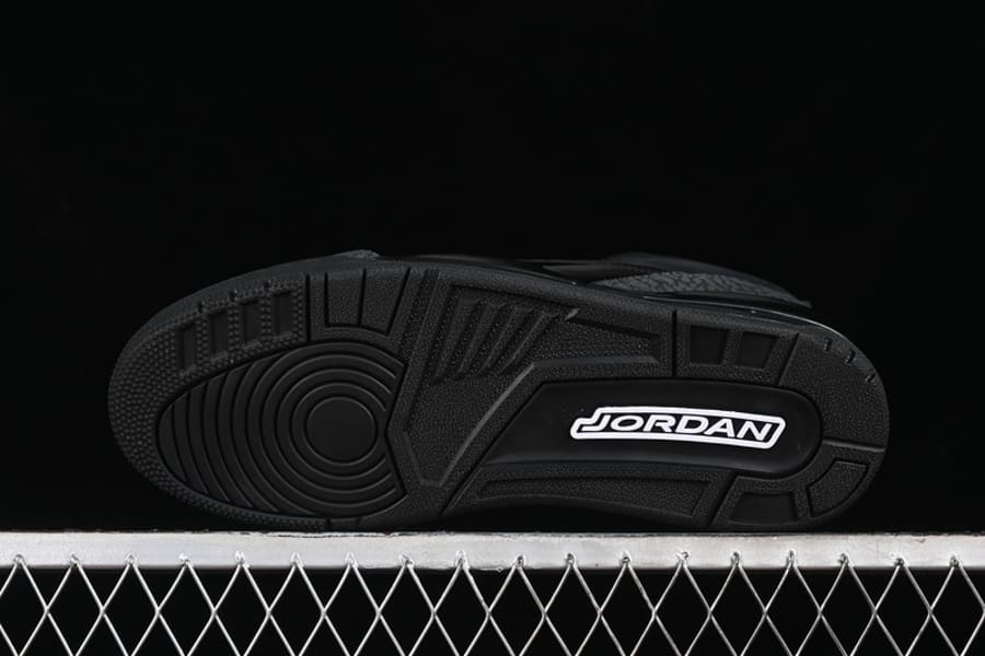 Air Jordan 3 Black Cat