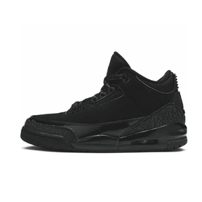 Air Jordan 3 Black Cat